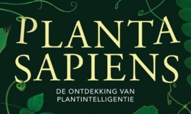 De ontdekking van plantenintelligentie