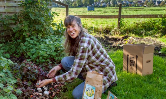 Najaar is hét moment om biologische bloembollen te planten