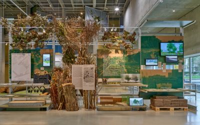 ‘Tuinen van de toekomst’ geopend bij Nieuwe Instituut