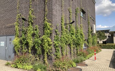 Hoe inspireer je tot een groen bedrijventerrein?