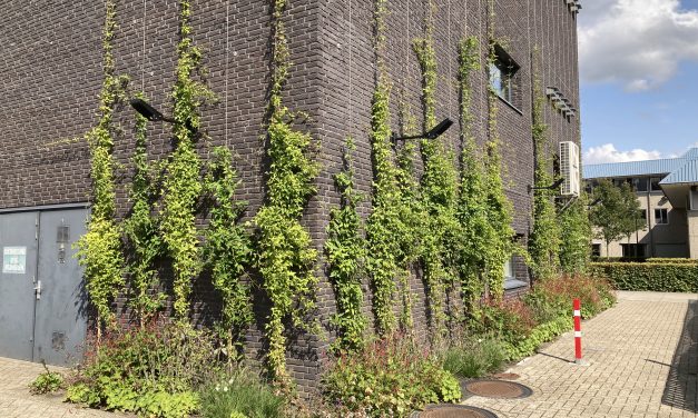 Hoe inspireer je tot een groen bedrijventerrein?