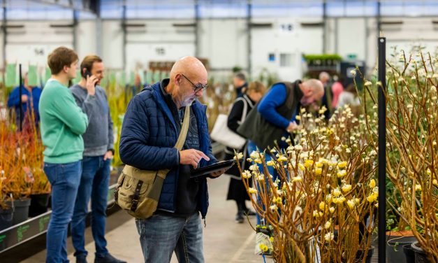 Ontdek het voorjaarsaanbod op PLANTARIUM|GROEN-Direkt