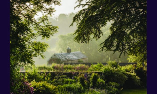 Een kijkje in de eigen tuin van topontwerpers