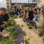 Vier de Lente: kennis- en inspiratie-event