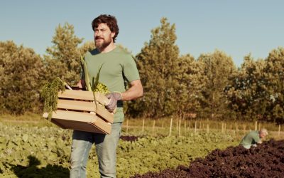 Buitenwerker loopt 2 tot 3 keer meer kans op huidkanker