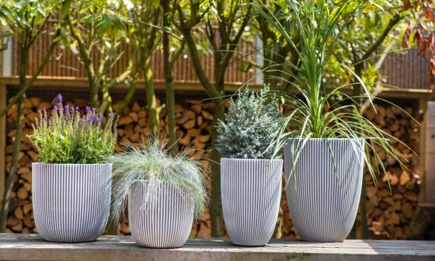 Made in Holland-collectie van Capi