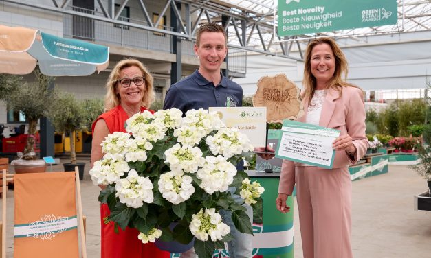 Hydrangea macrophylla wint Green Retail Award Beste Nieuwigheid