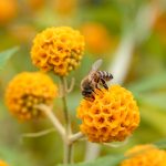 Wereld Plantendag met interactieve familie-activiteiten bij Almere Jungle