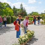 Plantenprimeurs op het Appeltern Plantenfestijn